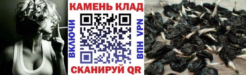 Гашиш hashish  Северская 